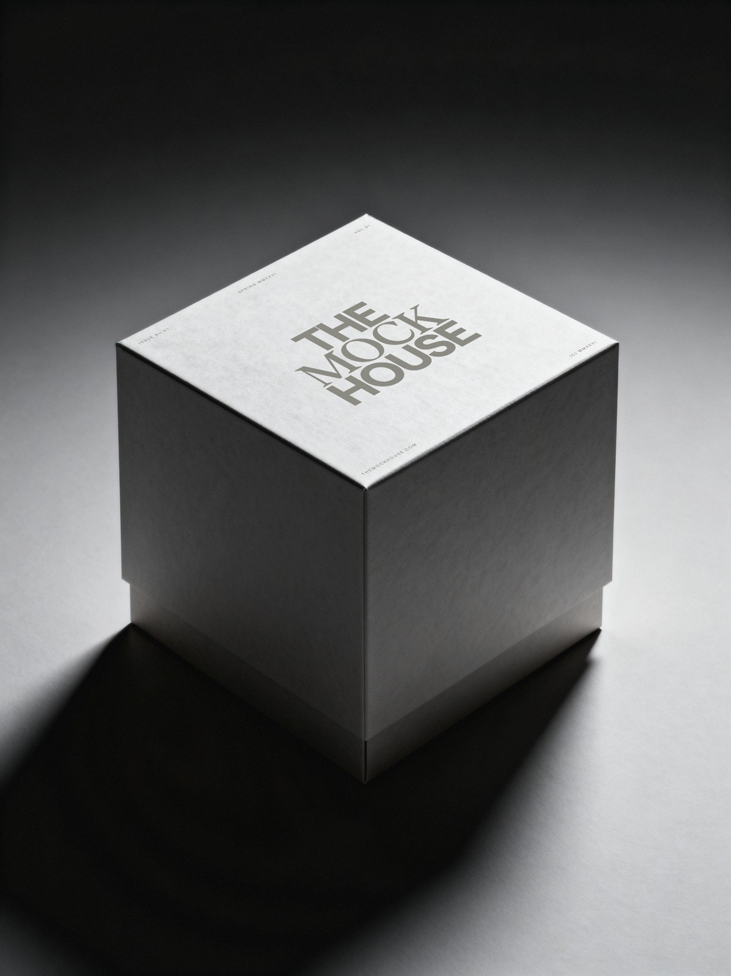 Product Box 01 packaging mockup