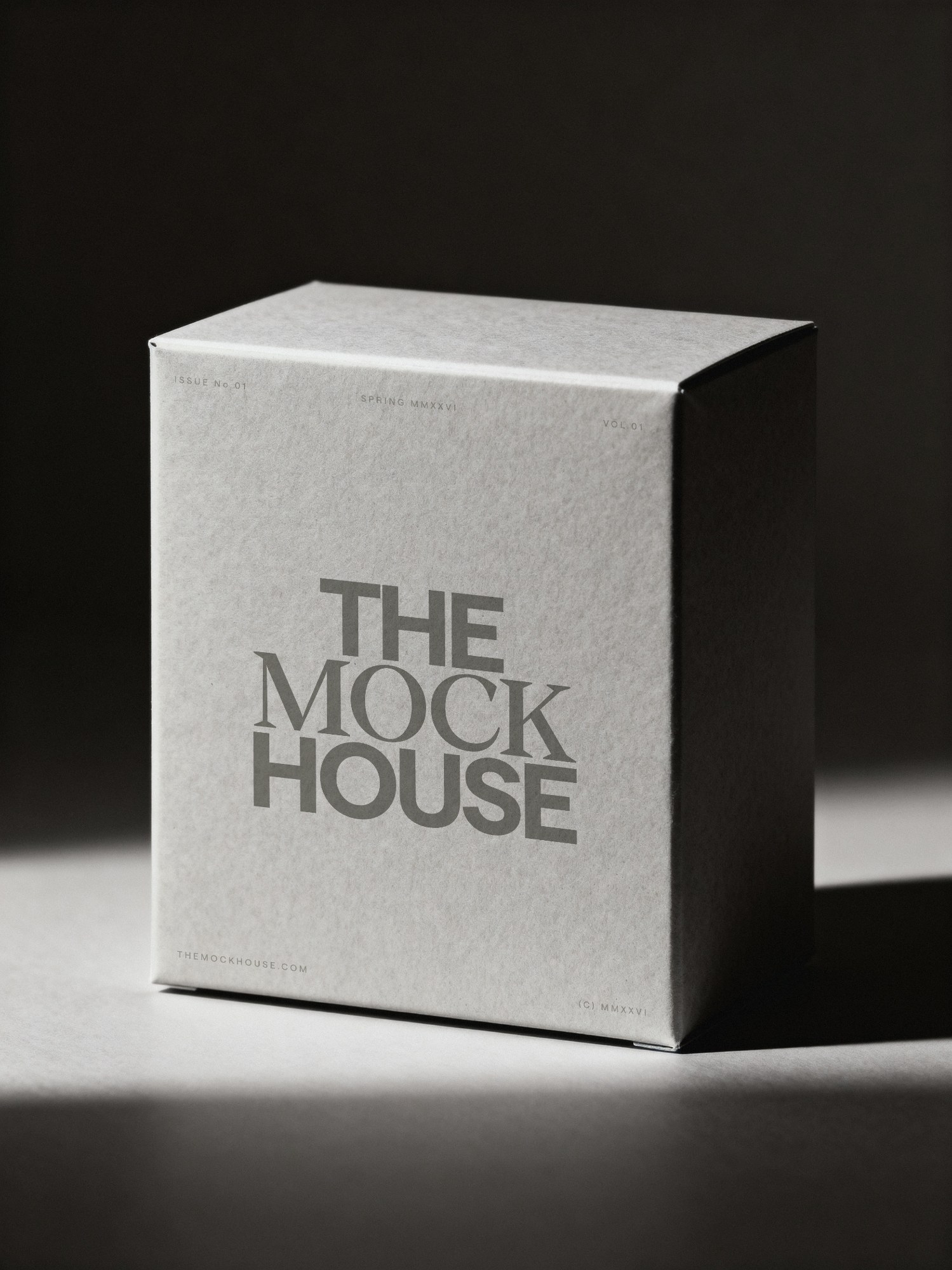 Matte Box Packaging 01 packaging mockup